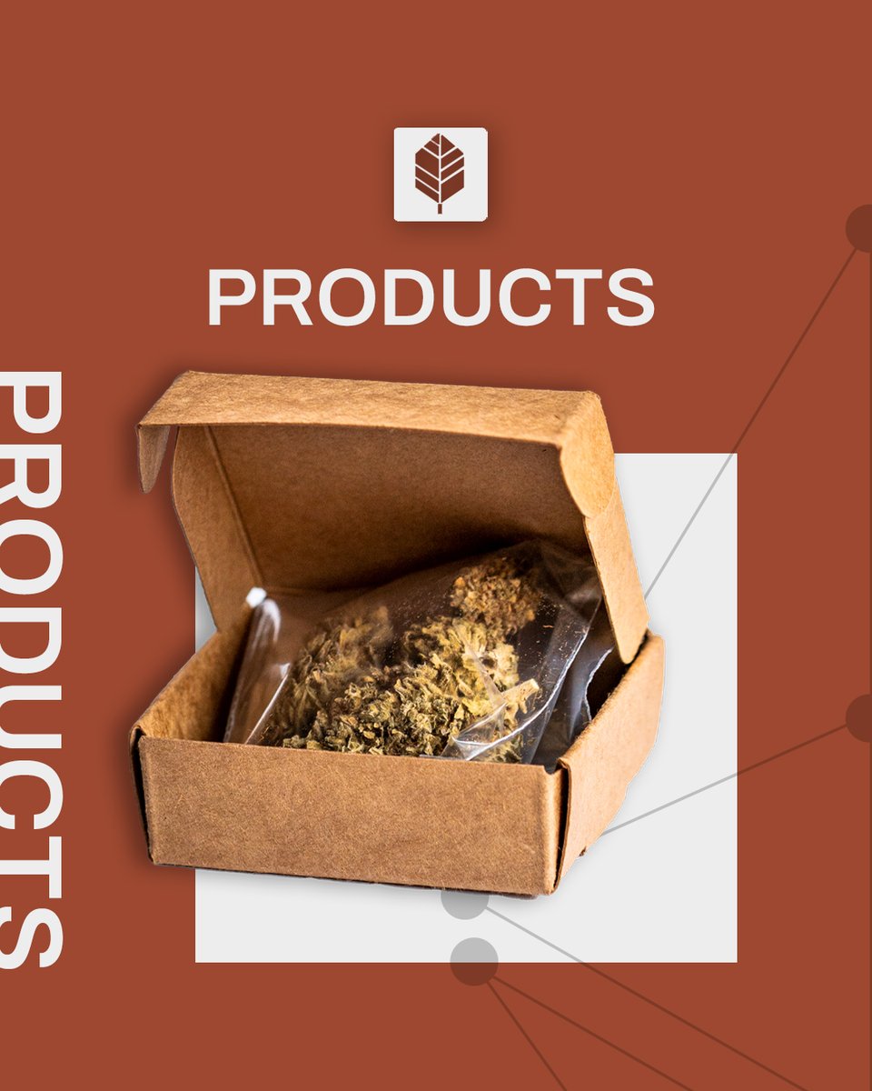 plaentz's tweet photo. If a hemp flower bears the name Lemonchello, the question of the aroma does not have to be asked. Available in 3 different units: 1 gram, 3 grams or 10 grams. 

*The characteristic fruity Citrus terpene notes are always included 💛

#lemonchello #herb #plantz https://t.co/YVkBEZkfzv