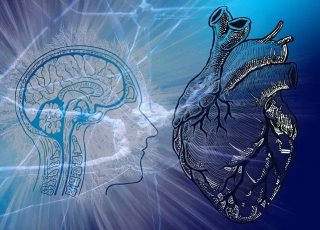 Here's A Cool Acronym To Remember The Next Time You Have An Important Decision To Make:

BRAIN: 

B: (What are) the Benefits?
R: (What are) the Risks?
A: (What are) my Alternatives?
I: (What does my) #Intuition (#heart) tell me?
N: (What if I do) Nothing? 

#LeadFromTheHeart #HR