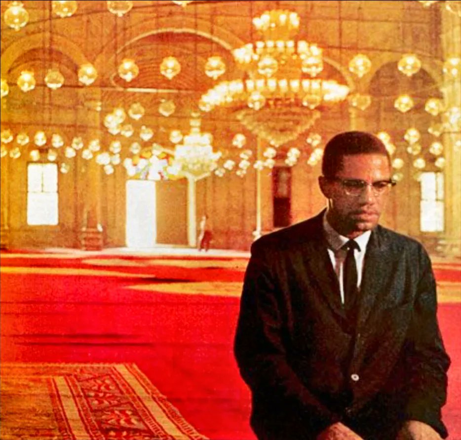 Building Men Program tweet media