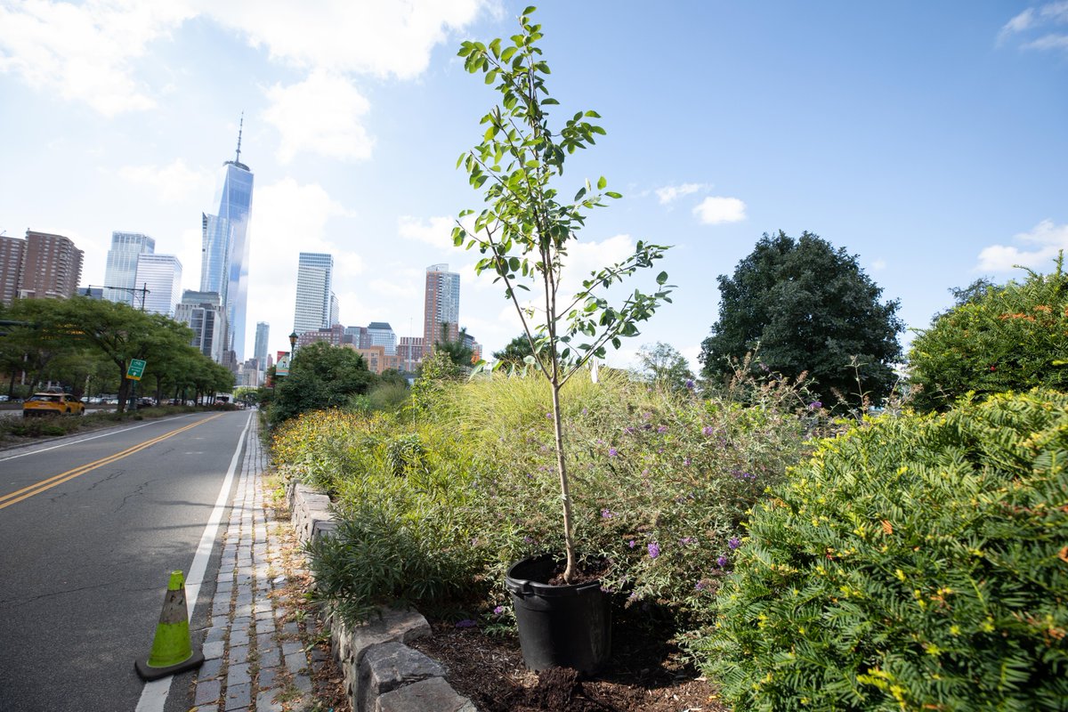 onetreeplanted's tweet image. Planting trees is like a game of Jenga; except instead of taking blocks away, we&apos;re adding them back one by one. And the best part? We all get to win when the tower stands tall! 🌳💚 #ReforestationRocks #TreeTower #WinningAtLife