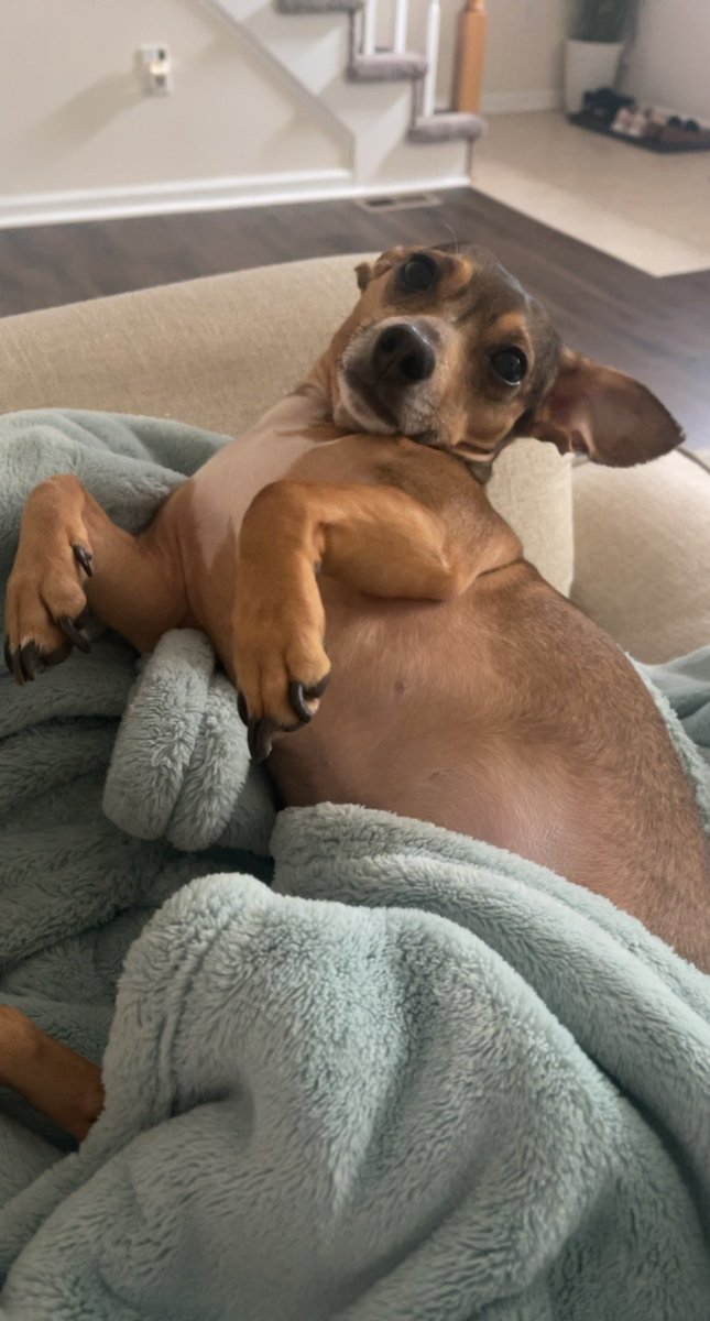 k8penni's tweet photo. Ween appreciation post https://t.co/u686AqwnuA