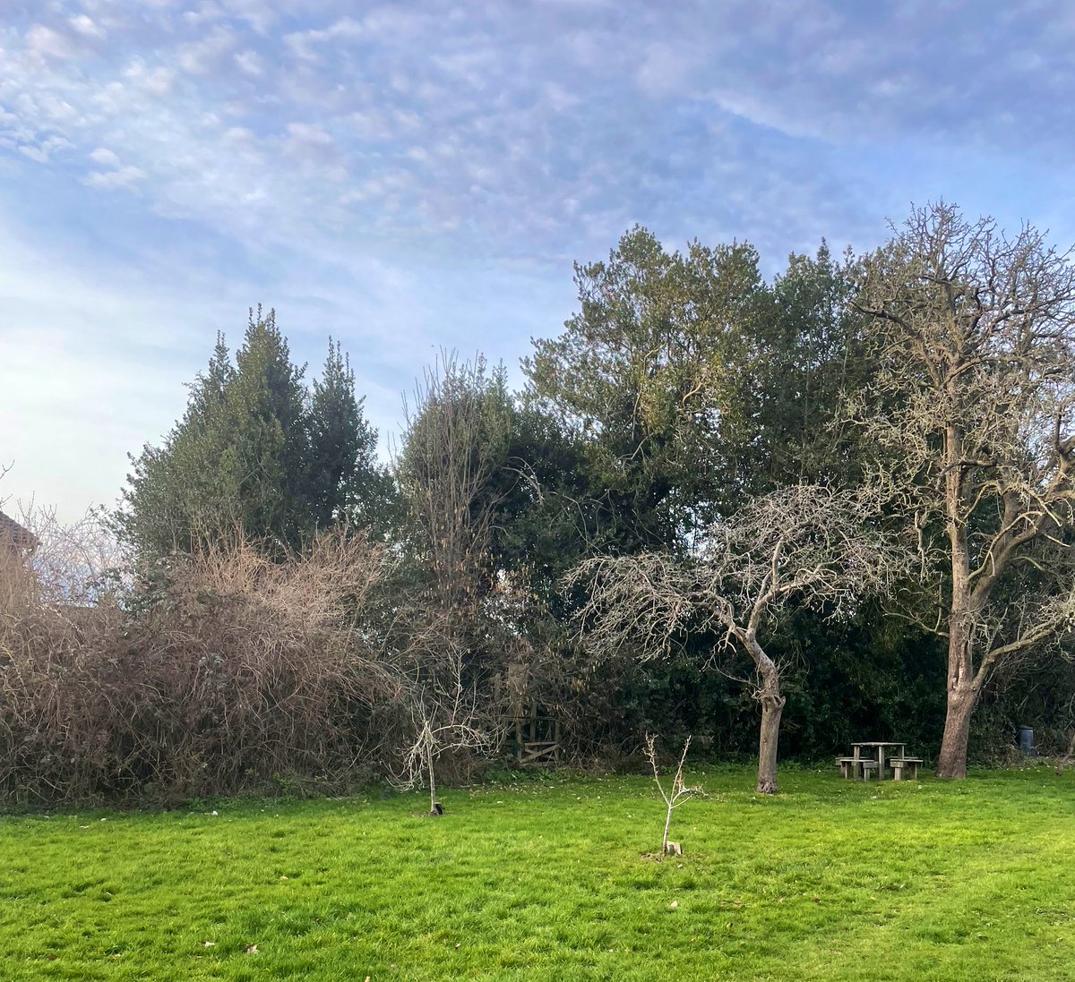 We had a great time on our savouring walk last week, seeing some fantastic green spaces around @worcester_uni #FlourishHE. Thank you to everyone who joined us!