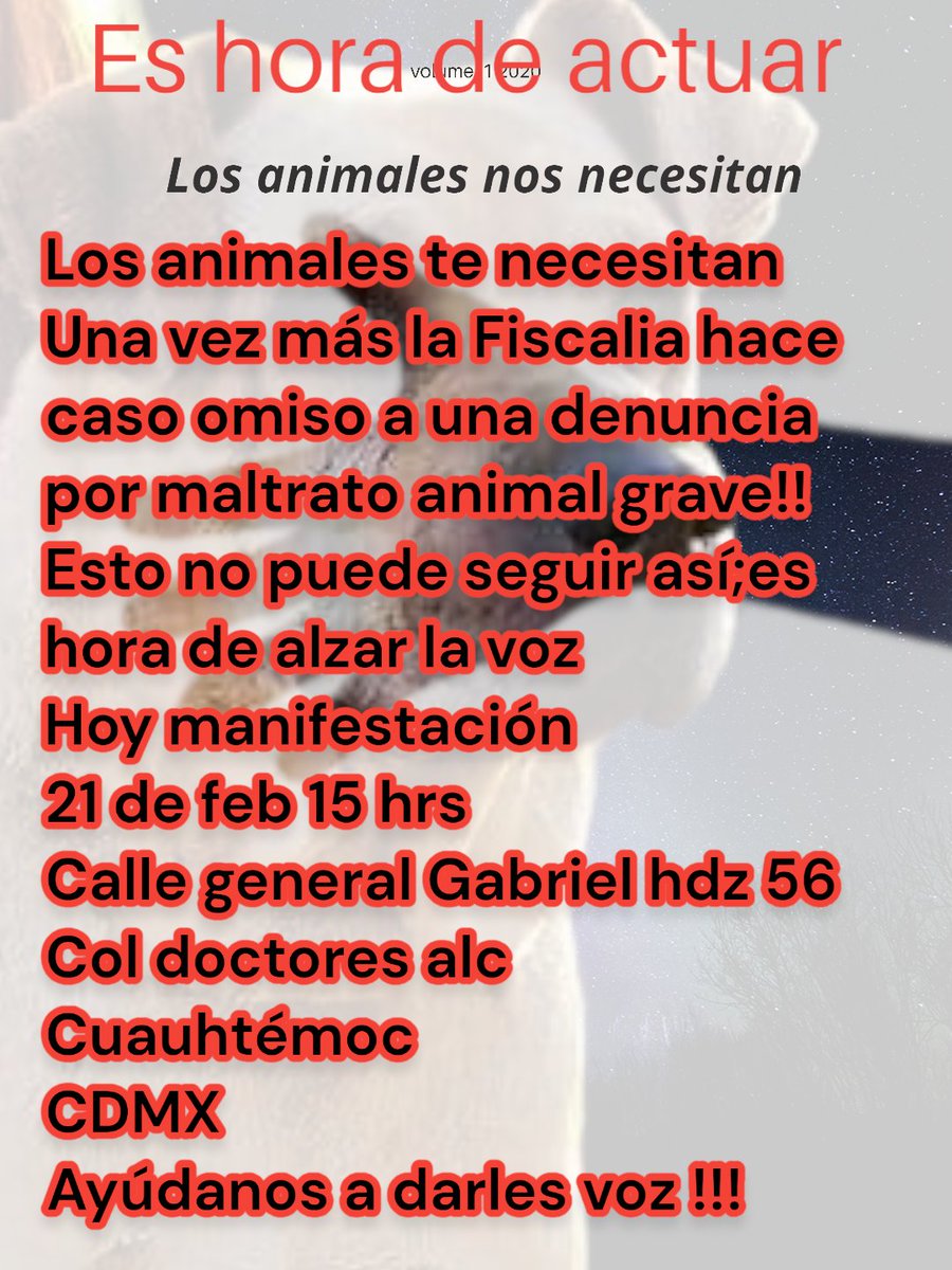 Es hora de actuar por ellos! Ahí nos vemos!