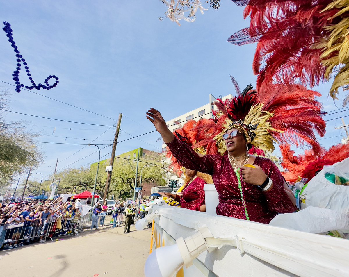 Zulu looking so pretty on this beautiful Mardi Gras. 📸 Chris Granger #MardiGras #MardiGras2023 #neworleans