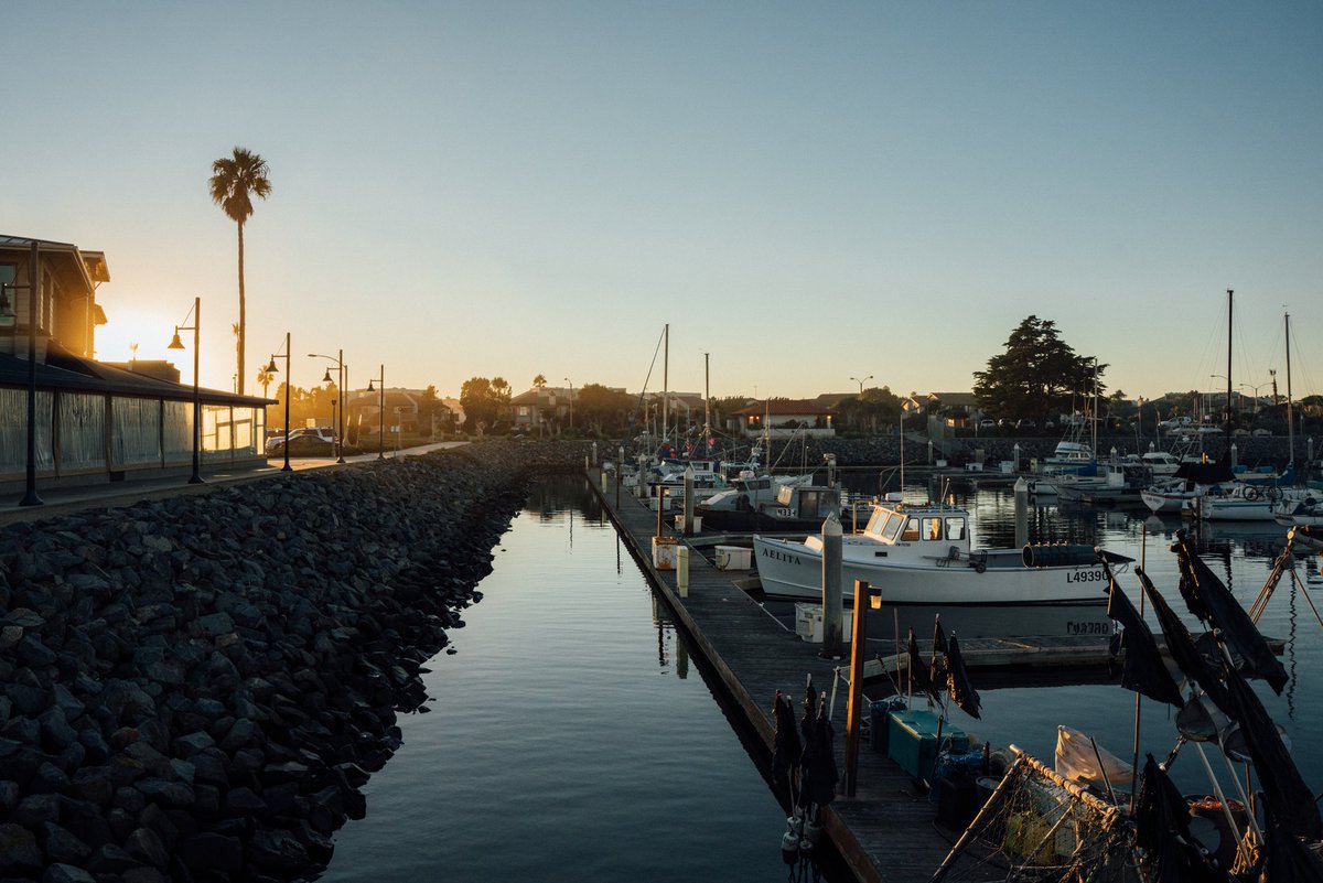 Loving the views from the harbor✨