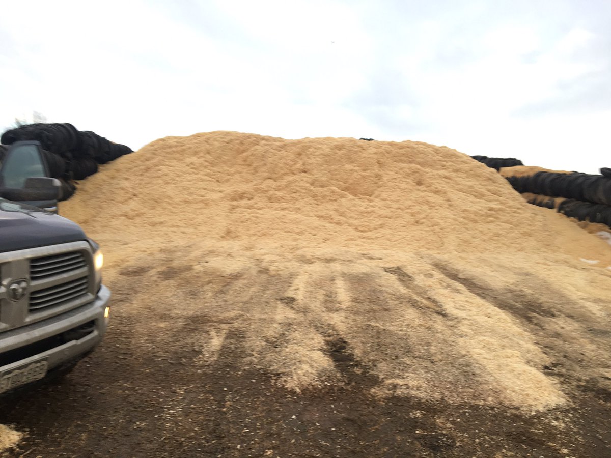 TweetRanch's tweet photo. AgNav now has bulk shavings for animal bedding!  Buy bulk and save!
Delivery options available within 60 mi of Ft. Lupton, CO. https://t.co/SvwmeXEVpq