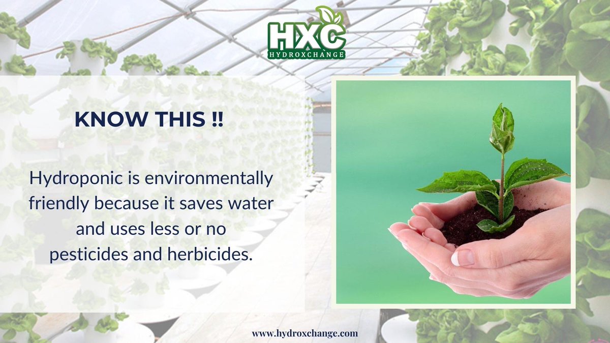 HydroxchangeCom's tweet photo. Hydroponic gardening is environmentally beneficial since it conserves water and employs little to no pesticides and herbicides.

To know more https://t.co/JBgP4HqxlN

#hydroponics #indoorplants  #megasolution #nutrients #climatecontrol #greenhouse #growroom #horticulture #USA https://t.co/Rcie3z12RD