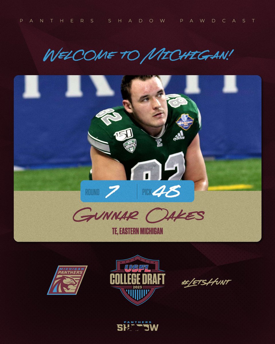 Panthers Shadow tweet media