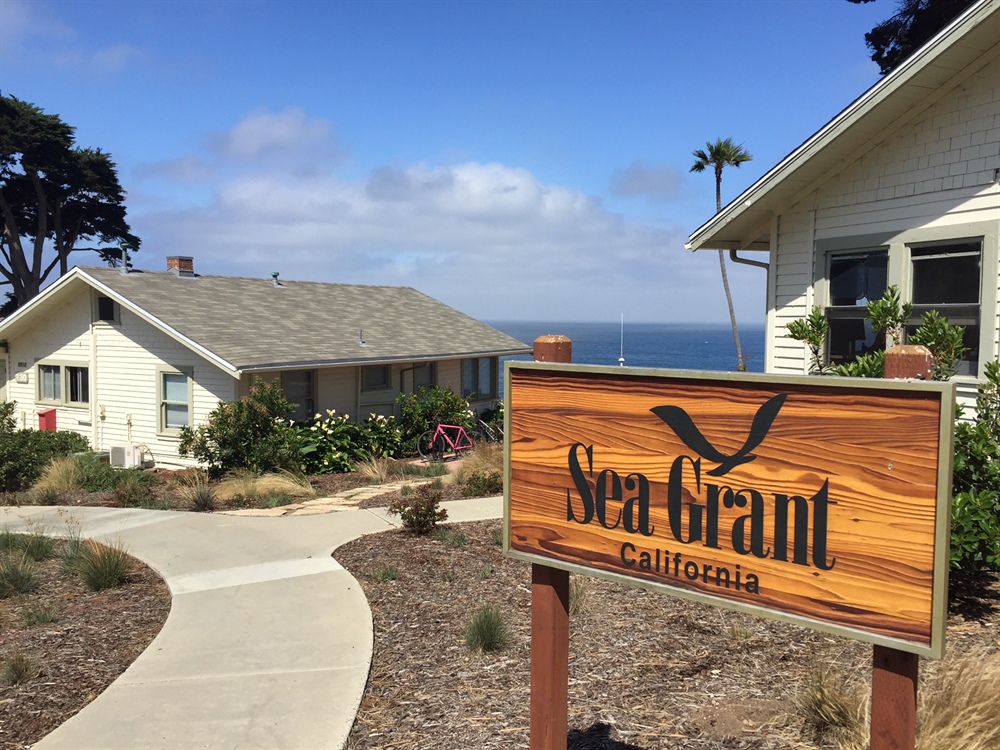 Job alert: <a href="/CASeaGrant/">California Sea Grant</a> is looking for a Fellowship Program Coordinator who will administer coastal and marine fellowship programs, advise research and policy directions and help lead workforce development &amp; training. #NowHiring 🌊

Learn more &amp; apply here: bit.ly/CASG-FPC-job