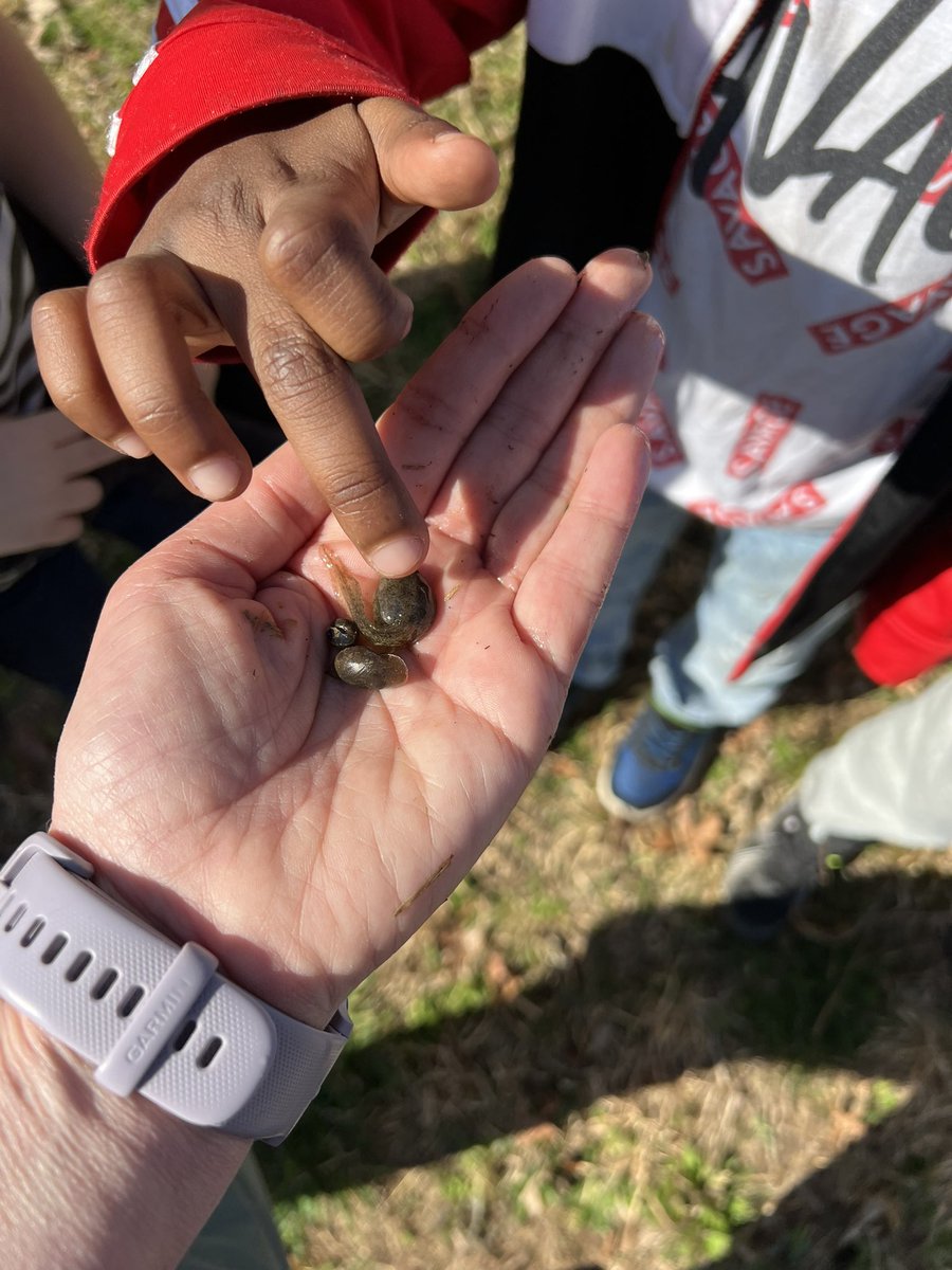 Brinchekscience's tweet photo. What does a tadpole feel like? Letโs find out! Creating #equity with shared experiences #outside . #authenticlearning IS inviting EVERYONE to enjoy the #outdoors and connect with nature while exploring #sciencestandards https://t.co/GBcyyyOy6n