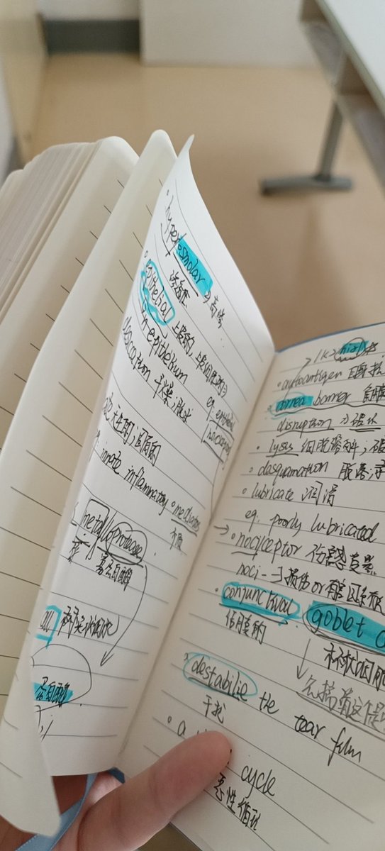 OFragments's tweet photo. 希望一切顺利🙏
大饼，大饼是多么的美好
哪怕我现在付出一切去追赶我的未来也在所不辞 https://t.co/XvHGl5Hrnp