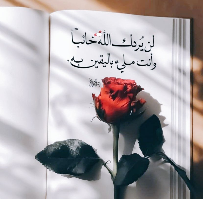 |𑁍𑁍♩ٴ

يَآربُّ ارزُقنَا البَصِيرة
وامنَحنَا الطّمأنِينـة
واجعَل لَنَا أملًا أن نَحلُمُ
مُجَددًا بالغدِ الجَمِيـــل
نَسألُڪ رِضَاڪ ونَستَعِيذ بِڪ
مِن شَر مَا قَد تَأتِي بِـه الأيامُ 🌹،،،

𑁍.¸¸.•°˚˚°𑁍
#ابنة_الهدوء ◇••