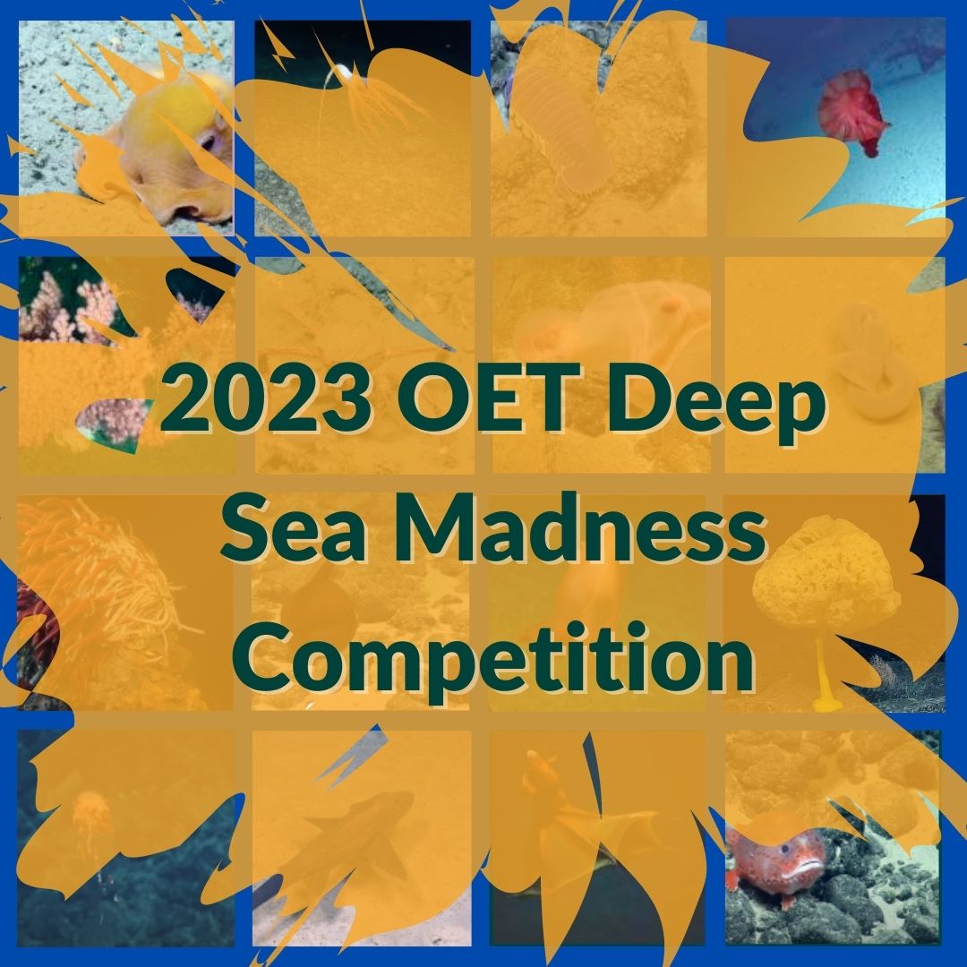 EVNautilus's tweet image. Coming Soon! The  #OETDeepSeaMadness competition will pit sixteen of our favorite #deepseacreatures against each other. The critter left floating will gain the title of OET’s Favorite Deep Sea Animal. Subscribe to our YouTube channel to vote: youtube.com/c/EVNautilus