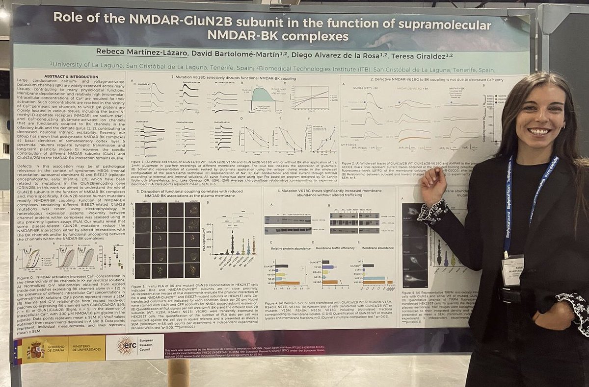 Grateful and happy to share in San Diego at #BPS2023 my work under the supervision of @giraldezT ! We have identified a disease-related mutation ⚡️ that disrupts physiologically relevant NMDAR-BK complexes. Come by my poster (B288) today to hear more about it! 🔬🧠