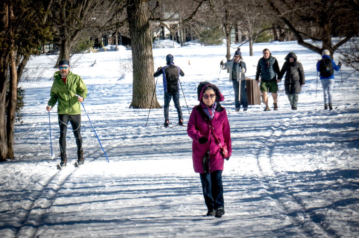 Skiers, walkers, and people in shorts, better get out on the #wintertrails, while we still can. ⁦@RideauWinter⁩ ⁦@NCC_CCN⁩ #ottcity #ottski #ottwalk #getoutside #winterwonderland