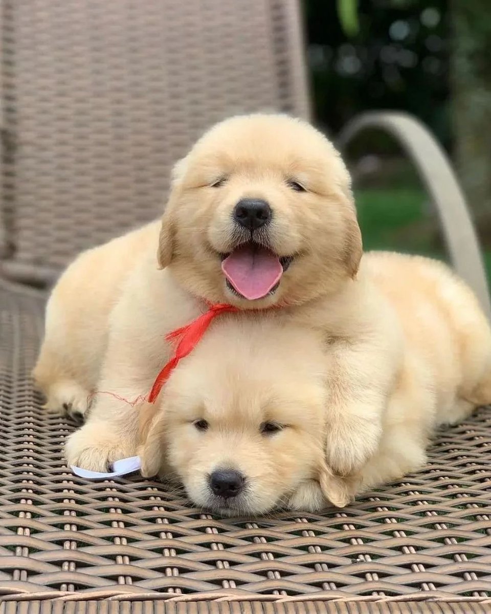 They are 🥺😍💖💞