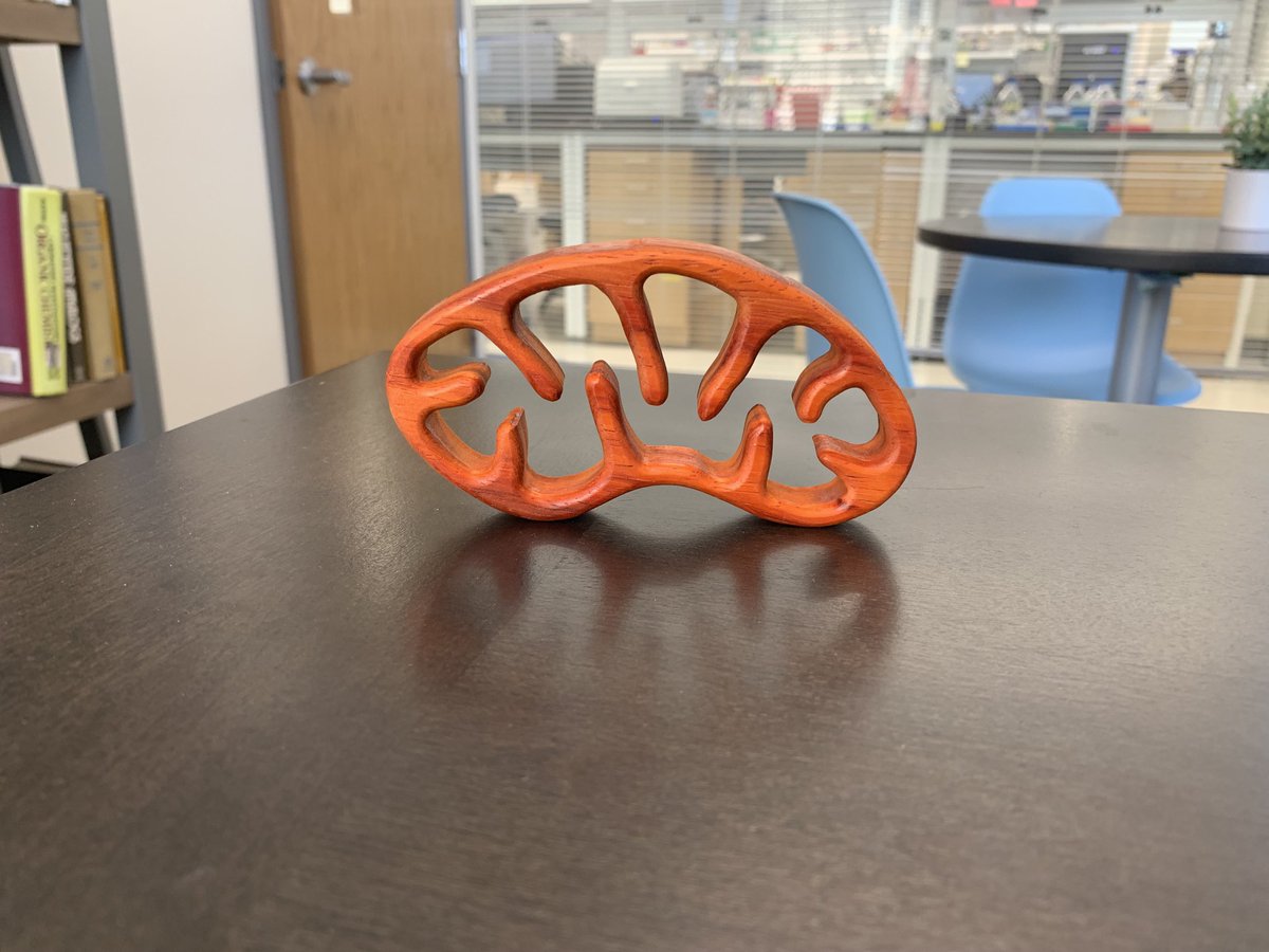 nieminm's tweet photo. All the mito decor for my office, this one compliments of β¦@tloch_β© π€© #bestlabever https://t.co/KgvhFPeAZU