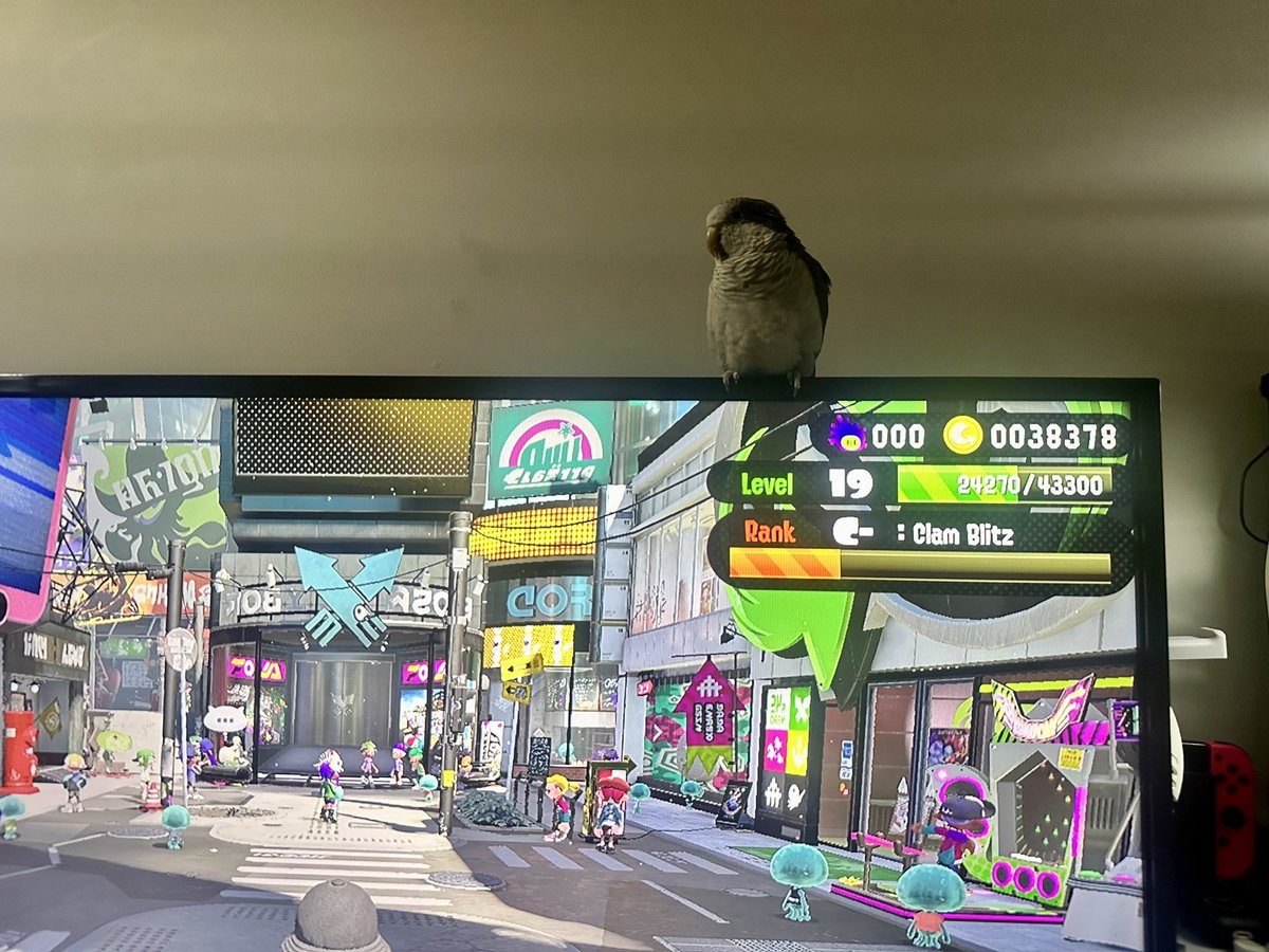 QuakerMerlin's tweet photo. Splatoon 2?😄 https://t.co/GKc3r3Ch1d