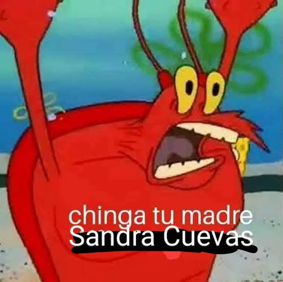 Martin_Spy's tweet photo. @SandraCuevas_ https://t.co/kWjibBPlfd