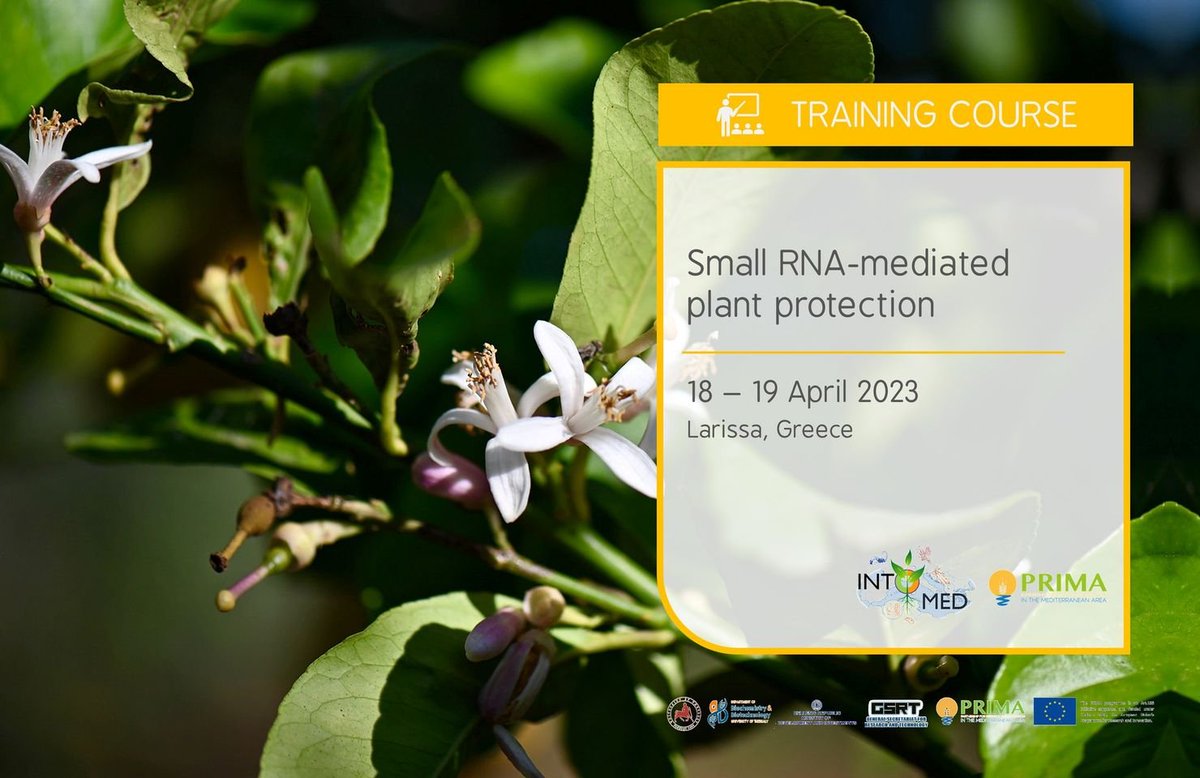 INTOMED_PRIMA tweet media