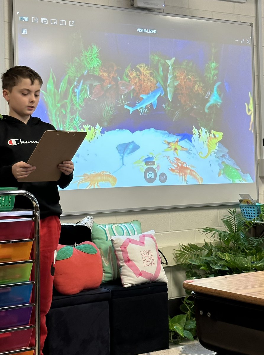 HodgkinsSchool's tweet photo. Listening to 5th grade biome project presentations! Wow! So much information & great visuals to support our learning! Great job everyone 🌟@teachingwithms3 #GoBulldogs #biomes #elemscience @dist105 https://t.co/5raJIV78Qo