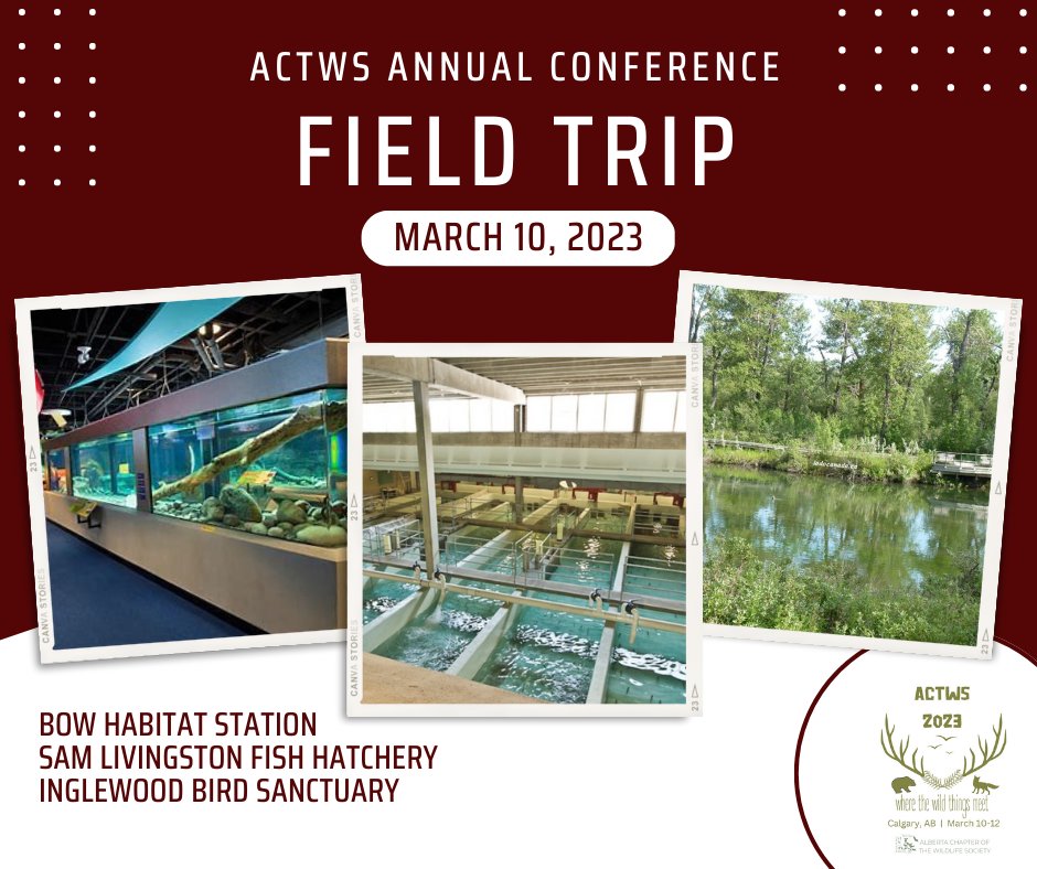 AB Wildlife Society tweet media