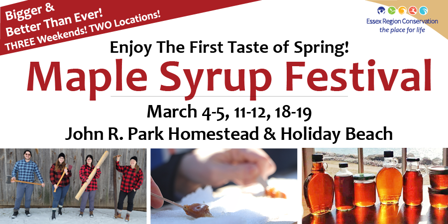 essexregionca's tweet image. Thinking about all things #Maple? Visit this year's mega-sized #MapleFest - happening over 3 weekends at BOTH John R. Park Homestead &amp;amp; Holiday Beach Conservation Areas. Travel the #MapleTrail between the 2 sites. Skip the line - pre-purchase tix at essexregionconservation.ca/maple #YQG