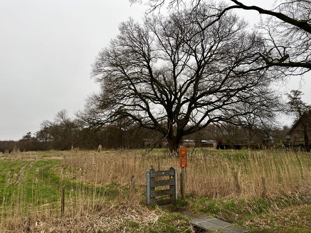 Ernest de Groot tweet media