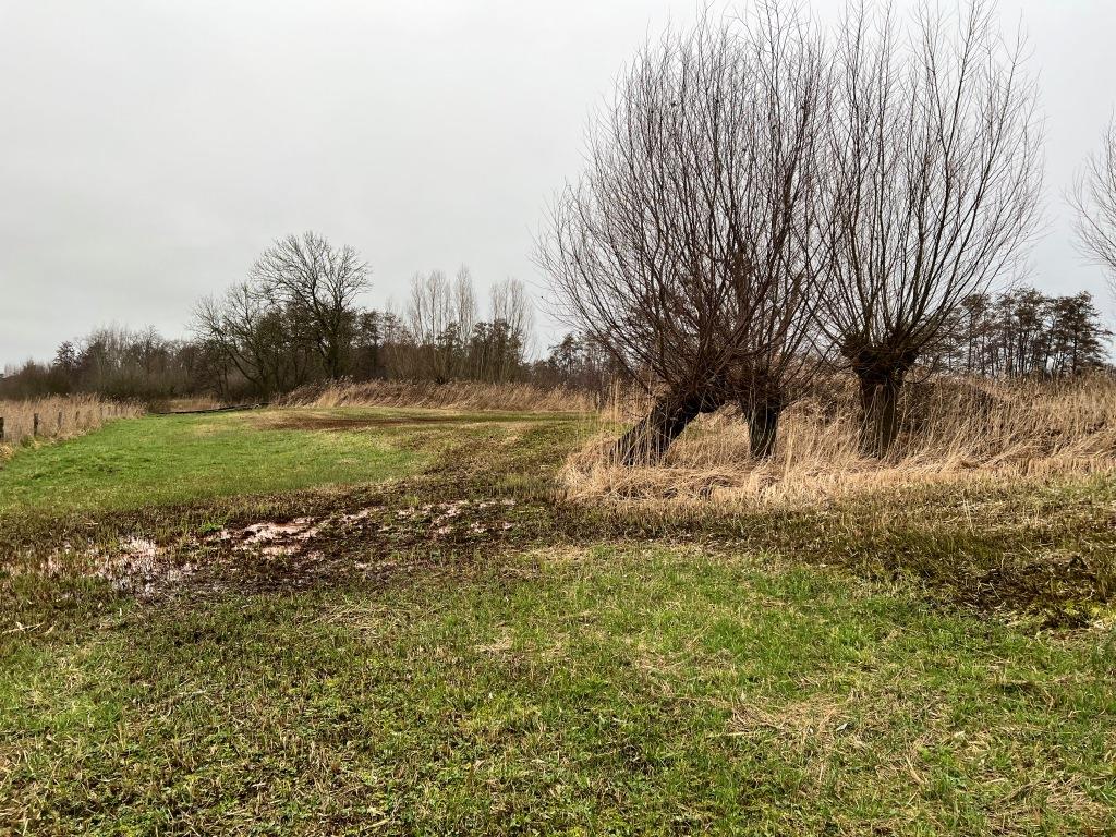 Ernest de Groot tweet media