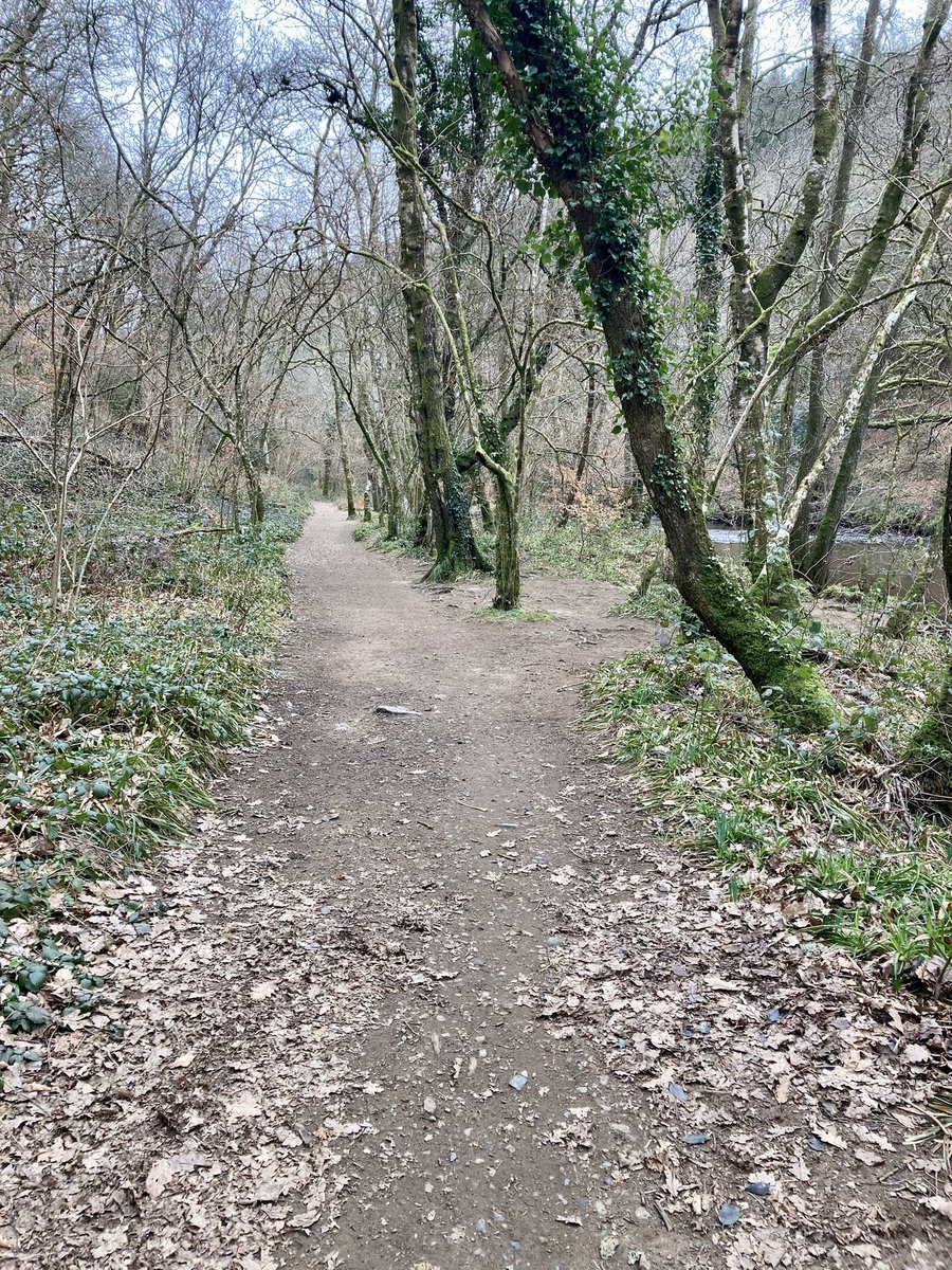 GHorton2012's tweet photo. Whilst my other bikes get repaired @HotPursuitCycle and I enjoy a Gravel loop around Fingle Bridge #Gravelbike #planetx #Tempest #Springcycle #Freshair https://t.co/fR9qGa2kX9