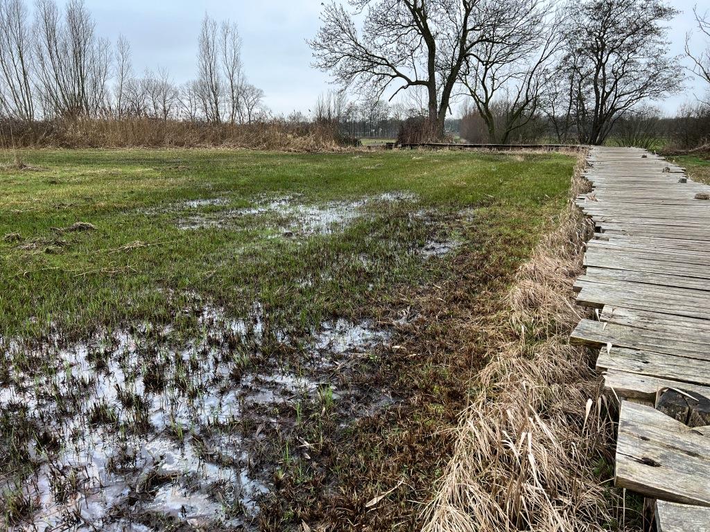 Ernest de Groot tweet media