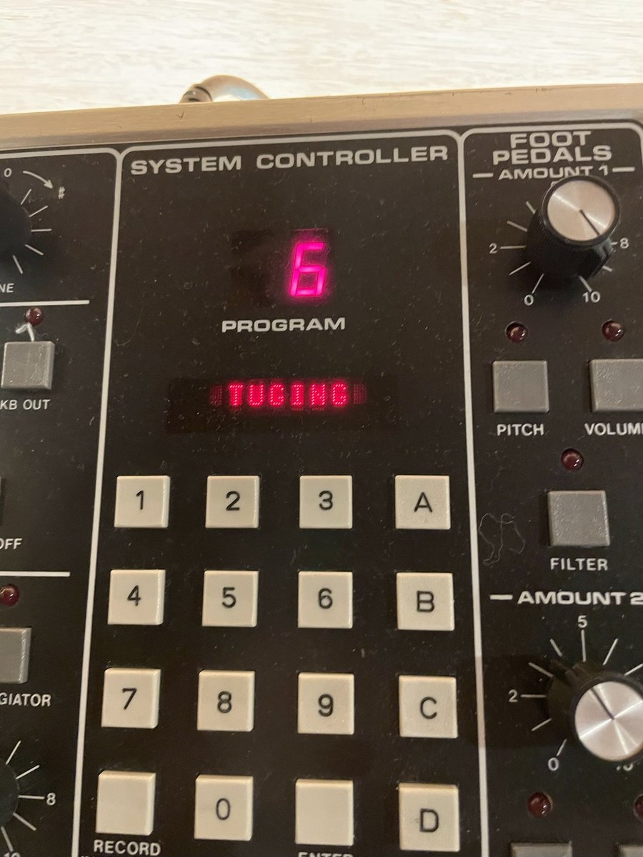 0xTRAPCHAT's tweet image. Always funny #memorymoog #iykyk