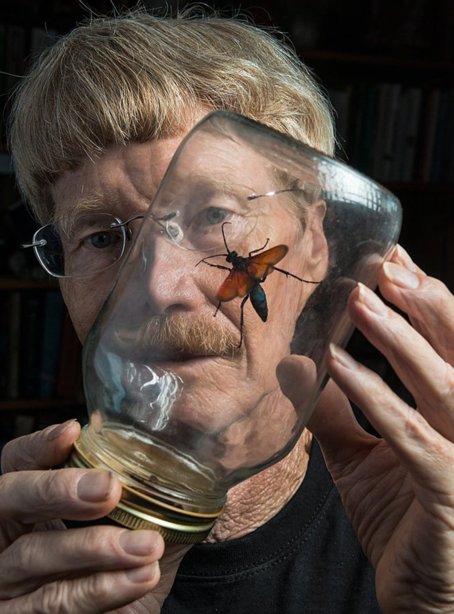 entophography's tweet photo. Extremely Sad to hear the great "King of Sting" Justin Schmidt has passed away. His contribution to #Entomology will never be forgotten. One of the great people who pushed my passion towards Hymenoptera. Condolences to his Family and friends he will be greatly missed. https://t.co/tVfwJSpgDY
