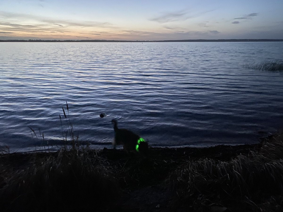 Angekommen am Schweriner See. Boah, war das ein langer Tag inner Droschke heut! 
Aber hilft ja nix … macht Euch einen pfeinen Abend, Pfreunde!