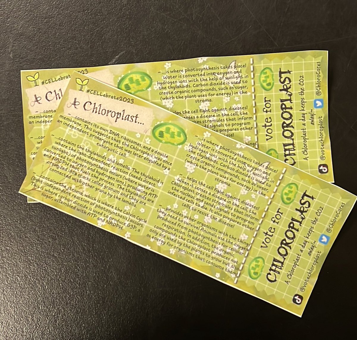 Amazing introductions for the Cell Campaign! May the best organelle win ❤️ #CELLebrate2023 #CELLebration2023 #APbio #science <a href="/MsDSacco/">WHS SCIENCE</a> <a href="/GRibosomes/">Got Ribosomes?</a> <a href="/golgithegoat/">Golgi The Goat</a> <a href="/nucleus2023/">Nucleus the brains 🧠</a> (+others we don't have the @ of)