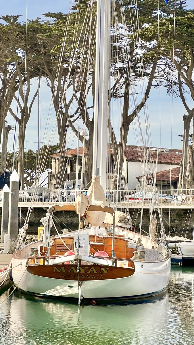 Steve Silberman tweet media