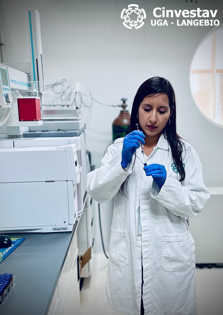 uga_langebio's tweet photo. 🟢El programa de #posgrado de @biotec_plantas tiene como objetivo formar profesionales con bases #científicas sólidas y con un marco de conocimiento científico que les permita diseñar #experimentos, interpretar resultados y fomentar el desarrollo de sus habilidades prácticas. https://t.co/K68Kyial9g