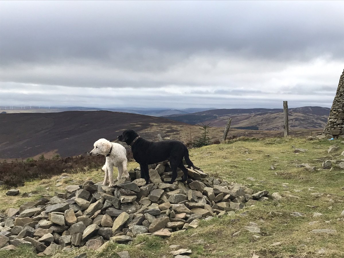 Linda Billett on Twitter "Taking advantage of a warm 11 degrees to