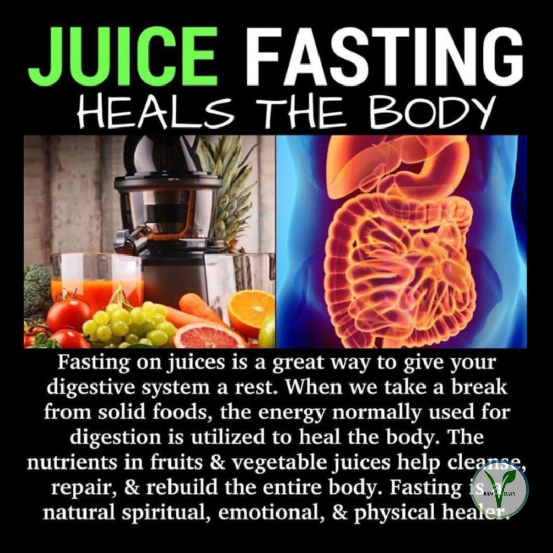 rvfdEmbodied's tweet photo. Sometimes REST IS HEALING ๐ง๐พ
So, why #juicefast ?! ๐คท๐พโโ๏ธ
To free up energy from your digestive system to be diverted to strengthening your immune system ๐ช๐ฝ
To appease the mind that you are still taking in vital nutrients ๐ง
#fastingFebruary https://t.co/X7UlrzwPsT