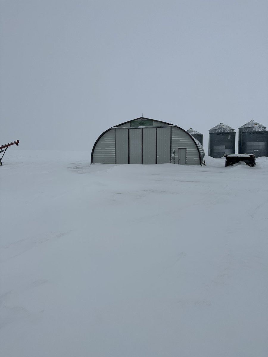 Ken Lepp 🇨🇦 tweet media