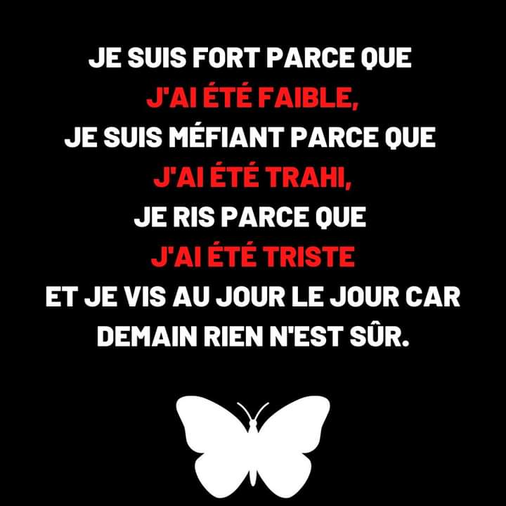 loupsolitaire27's tweet photo. https://t.co/KuZLW3J0E8