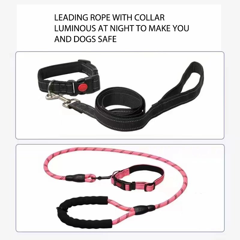 seraphim305's tweet photo. Safety is gold! #doglivers #doglover  #dogleash #petproducts https://t.co/ZANs2Gn4lE