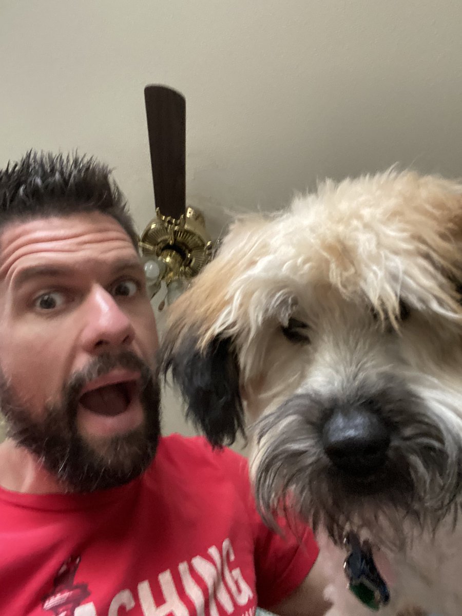wesmillerauthor's tweet photo. Do pictures with cute dogs help sell books? Here’s hoping! All links to my books can be found in the Linktree in my bio. Second pic shows how the photo session really went, haha.
#SoulOfTheMachine #WesleyMillerAuthor #WesleyMillerBooks #Books #Literature #author #publishedauthor #writer #writing #writinglife #writingcommunity #AuthorsOfTwitter #HeartOfTheMachine #MindOfTheMachine #MachineTrilogy #TheLandOfMountaindom #reading #book #bookstagram #booklover #bookcommunity #trilogy #novel #wheatenterrier #marketing #success #hopes #indieauthor #indieauthorsoftwitter