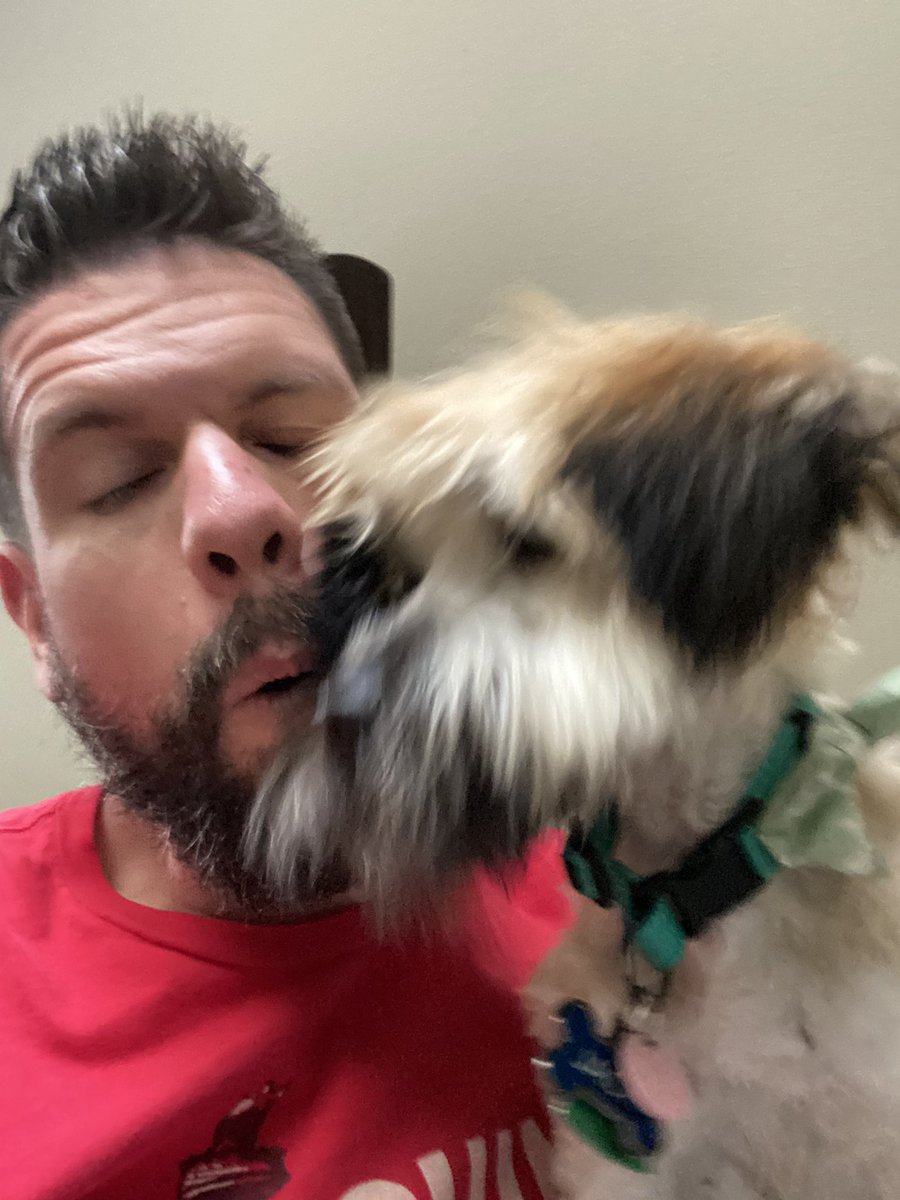 wesmillerauthor's tweet photo. Do pictures with cute dogs help sell books? Here’s hoping! All links to my books can be found in the Linktree in my bio. Second pic shows how the photo session really went, haha.
#SoulOfTheMachine #WesleyMillerAuthor #WesleyMillerBooks #Books #Literature #author #publishedauthor #writer #writing #writinglife #writingcommunity #AuthorsOfTwitter #HeartOfTheMachine #MindOfTheMachine #MachineTrilogy #TheLandOfMountaindom #reading #book #bookstagram #booklover #bookcommunity #trilogy #novel #wheatenterrier #marketing #success #hopes #indieauthor #indieauthorsoftwitter