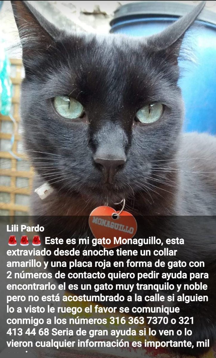 Una prima de Mariana está desconsolada. Agradecemos cualquier información.