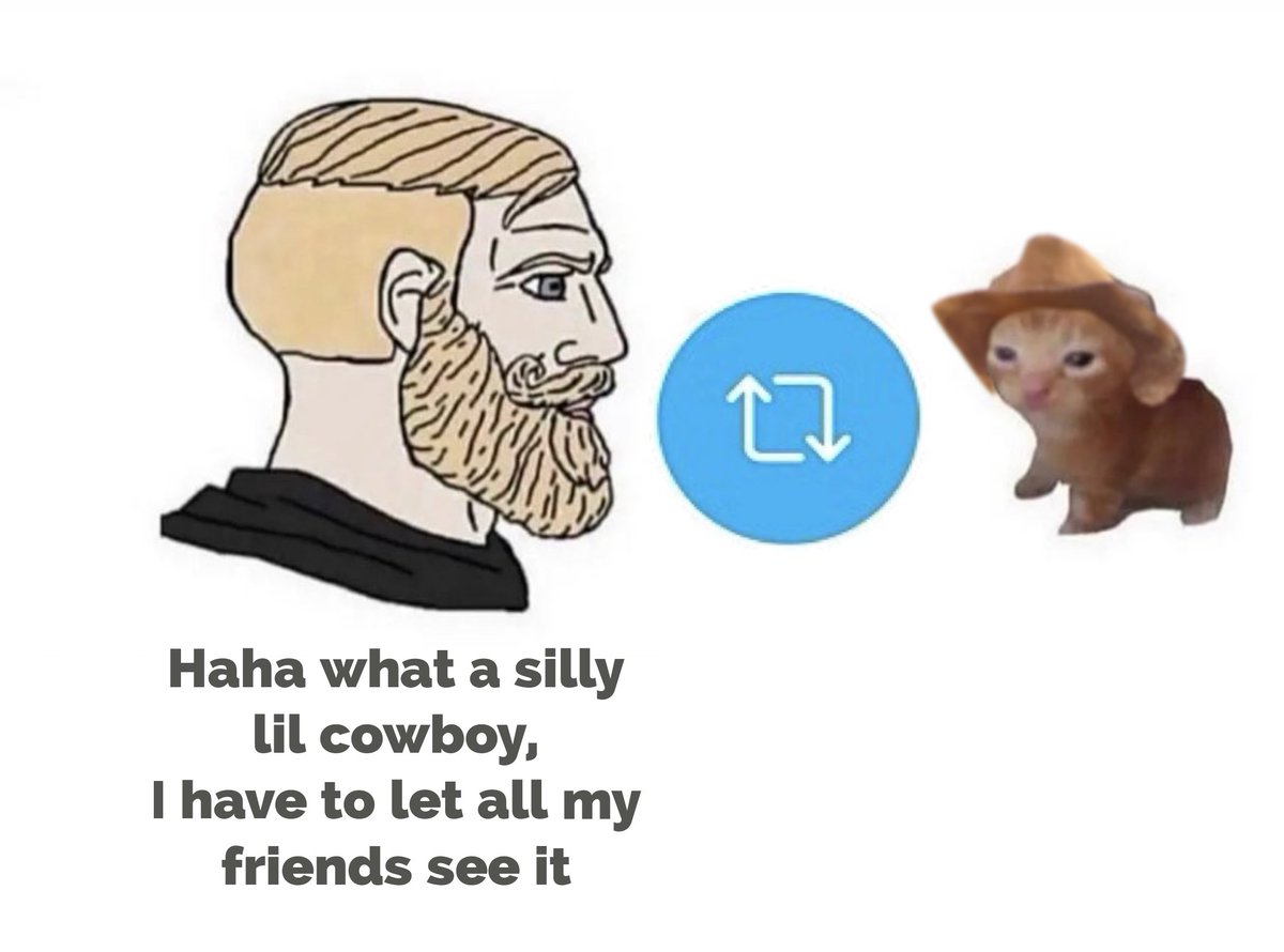 Cats And Cowboy Hats tweet media