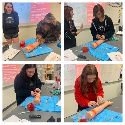 Lindsey Weiser tweet media