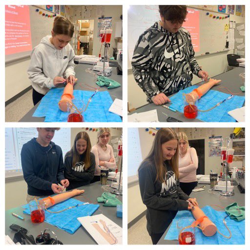 PBS drawing blood and protein bracelets! Part 1