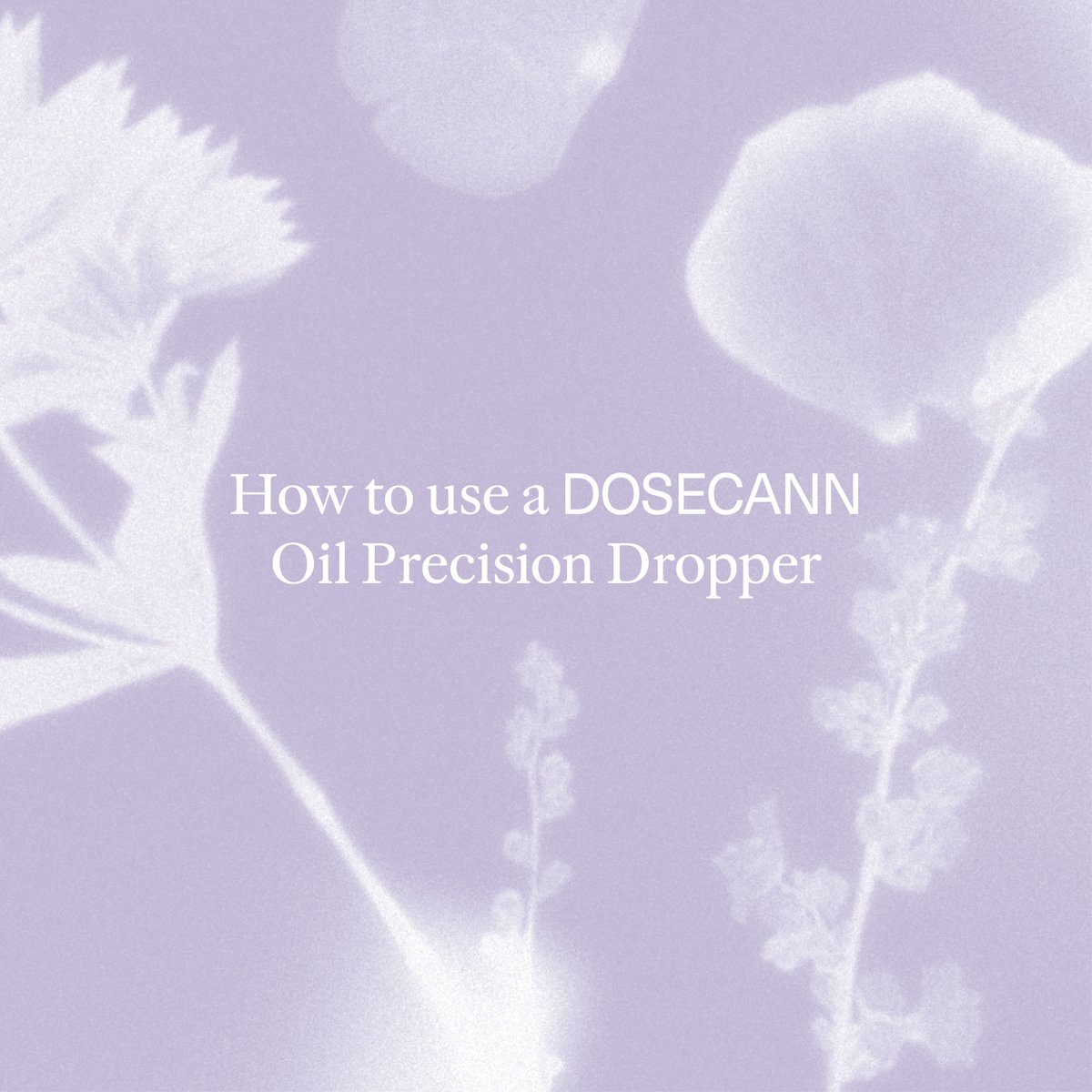 Dosecann tweet media