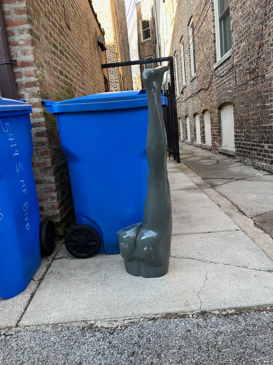 Jamie Roitman tweet media